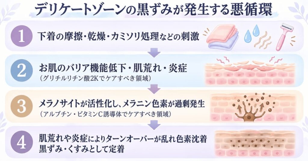 1.下着の摩擦・乾燥・カミソリ処理などの刺激
↓
2.お肌のバリア機能低下・肌荒れ・炎症(グリチルリチン酸2Kでケアすべき領域)
↓
3.メラノサイトが活性化し、メラニン色素が過剰発生(アルブチン・ビタミンC誘導体でケアすべき領域)
↓
4.肌荒れや炎症によりターンオーバーが乱れ色素沈着(黒ずみ・くすみとして定着)
